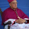2010-07-31-ivianec-konfer1-0007