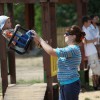 2010-07-31-ivianec-konfer1-0014