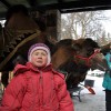 Шкада вярблюда