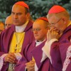 2011-07-25-pahavanne-018