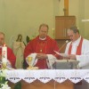 peliasa-014