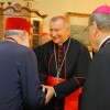 parolin-jepiskopat-026