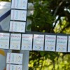 2015-07-03-psemjau-069