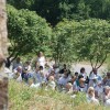 2016-06-05-kapciouka-047