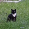 2016-06-18-margarytki-019