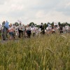 2016-07-06-piligr-45