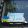 2016-07-05-pili-062