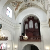 miadzvedzichy-022