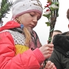 vitebsk-p-017