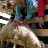 2017-05-13-zhodzina-034
