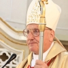 parafijada-061